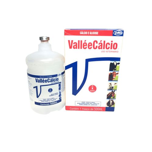 Medicamento Suplemento Vitamínico Vallecálcio Injetável 500ml