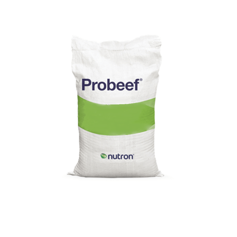 Sal-Mineral-para-Bovinos-ProBeef-Resist-Reprod-Neo-Nutron-30kg